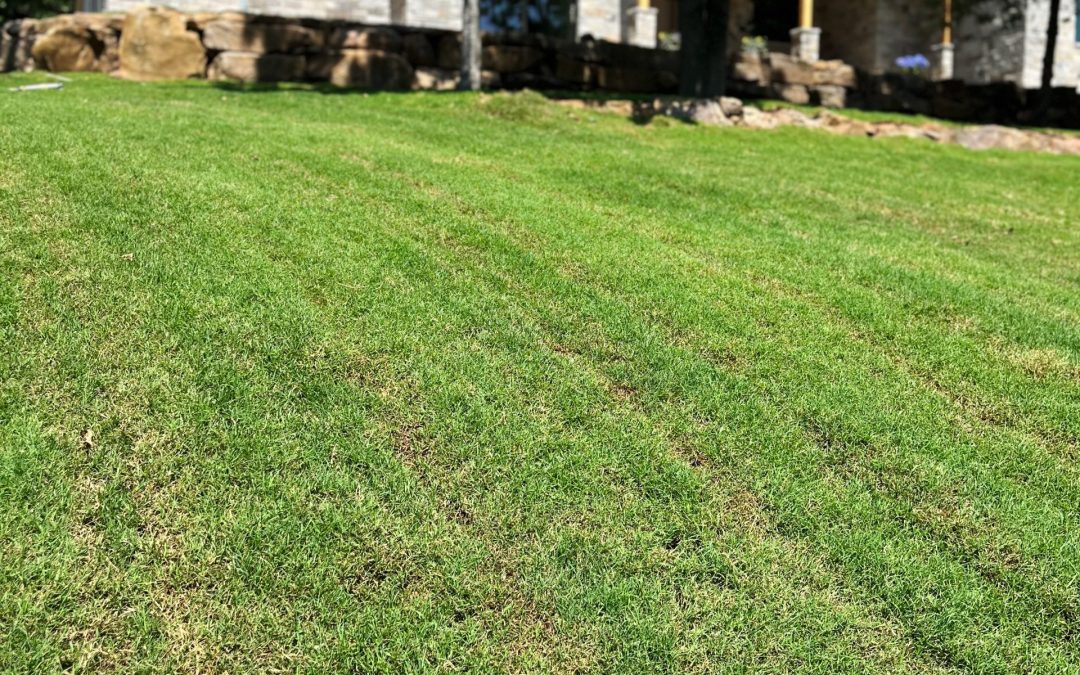 Lawn Care Tulsa | our team is prepared to help